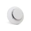Salwico-ST-I-IS-Intrinsically-Safe-Ionisation-Smoke-Detector-N1140