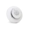 Salwico-NS-AOHS-IS-Intrinsically-Safe-Optical-Smoke-Heat-Detector-N11250